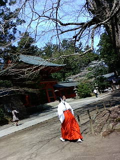 f0195131_1165620.jpg