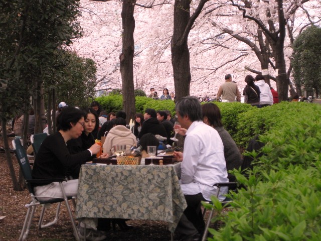 c0177332_1619521.jpg