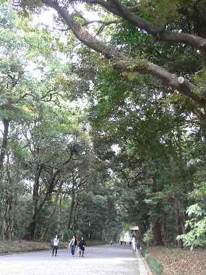 c0133533_23445182.jpg