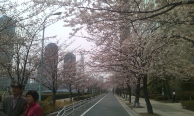 土曜日の花見_e0027033_23512158.jpg