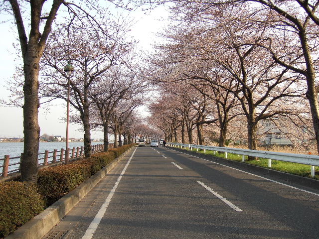 e0064133_10522114.jpg