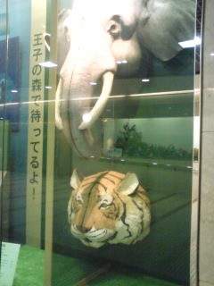 これはな~~~んだ? #340_e0068533_1138178.jpg