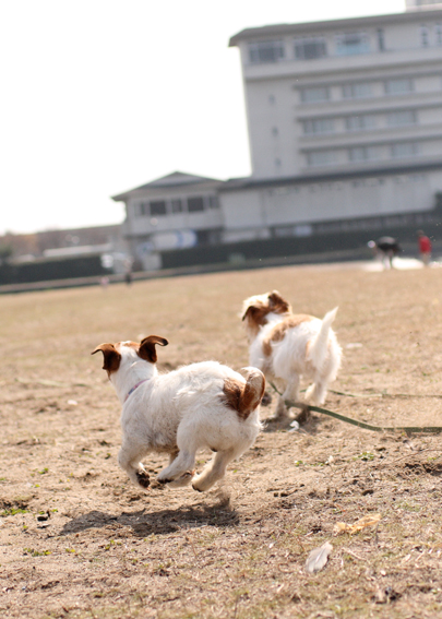 琵琶湖でまったり過ごす日曜日_f0070233_19441544.jpg