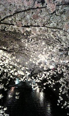f0068735_0175516.jpg