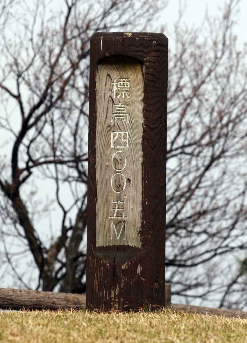 徳島県立神山森林公園の桜♪_d0058941_18504041.jpg