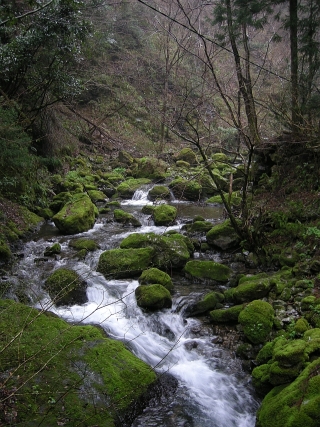 c0024743_16252546.jpg