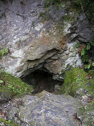 c0024743_16272629.jpg