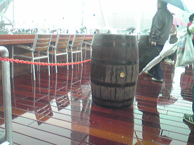 b0053444_11281.jpg