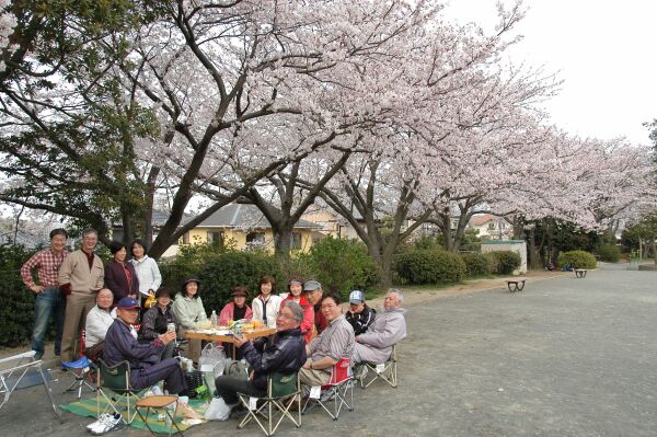 近所でお花見_e0043548_17331060.jpg