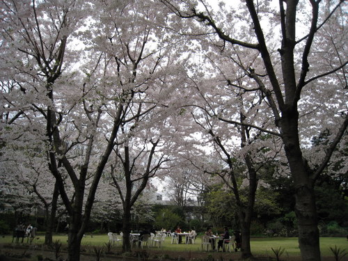 c0119649_21325061.jpg