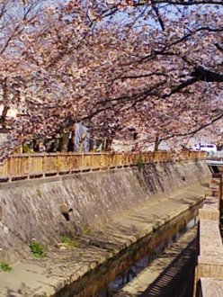 犀川騒擾事件80周年顕彰記念祭の記事_f0197754_19551314.jpg