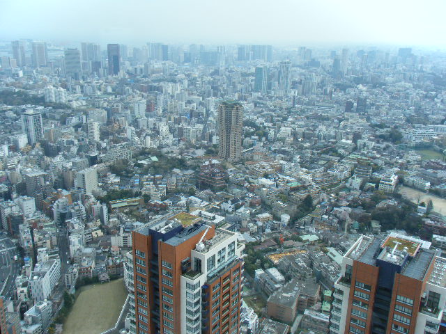 e0142956_11332652.jpg