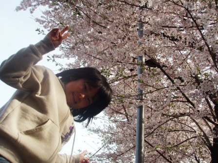 ぷち花見。_c0119259_23165030.jpg