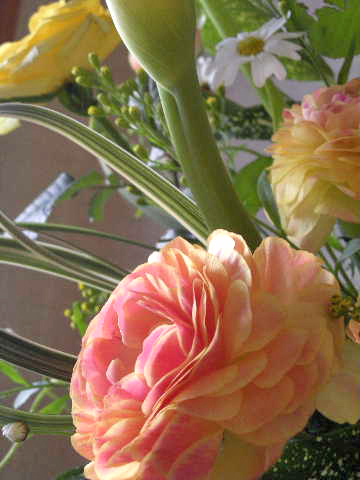 e0086864_011478.jpg