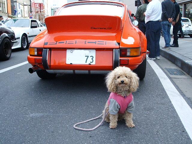 土浦　桜祭り　昭和の車大集合_e0125264_2293043.jpg