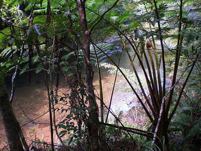 b0149867_12345085.jpg
