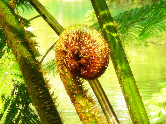 b0149867_1234559.jpg