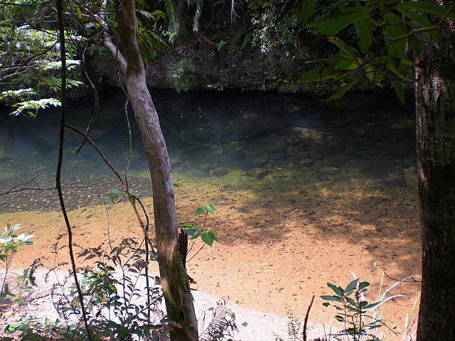 b0149867_12351798.jpg
