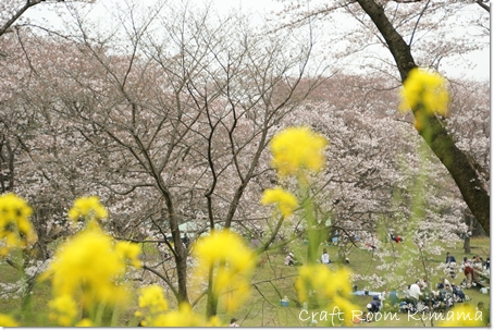 桜撮影会♪　その２_e0121067_23422773.jpg