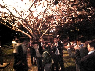 桜_a0112572_1945049.jpg