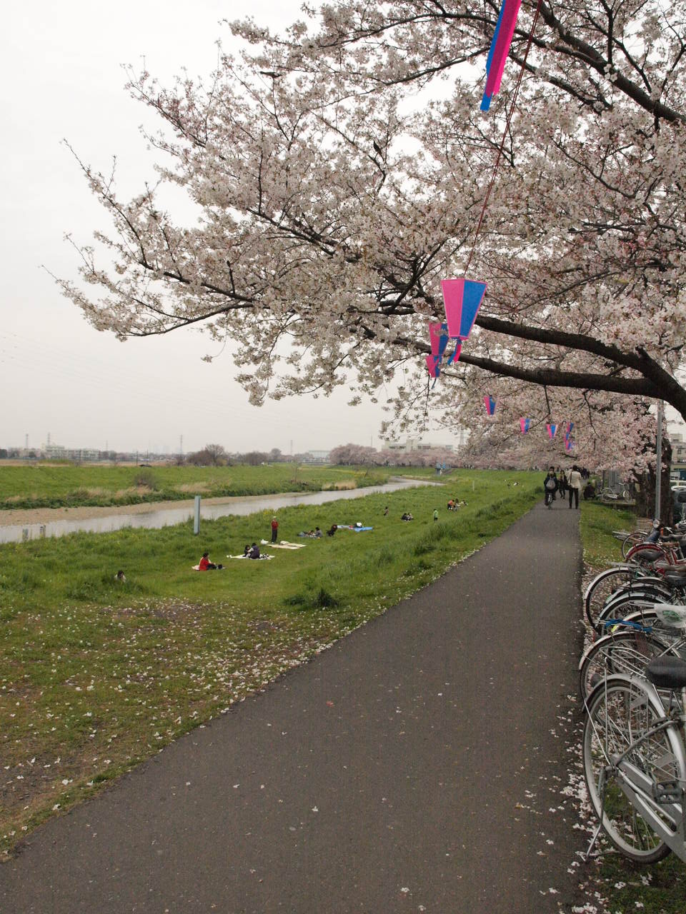 c0104774_1035432.jpg