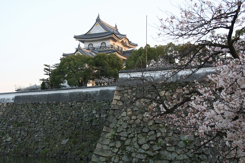 e0174074_2235250.jpg