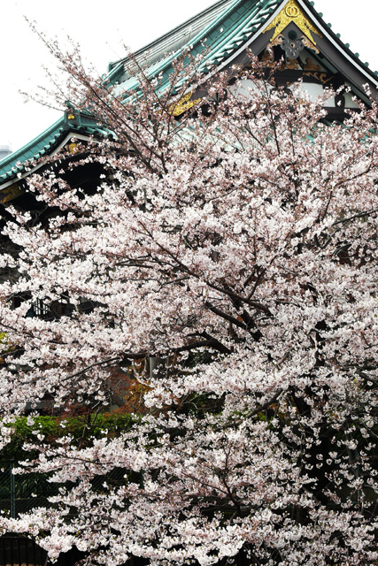 c0036878_18103635.jpg