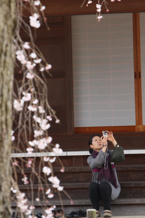 水戸河和田町　報仏寺_e0143883_4254772.jpg