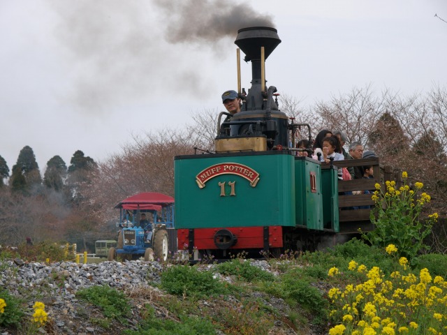 d0016584_0113860.jpg