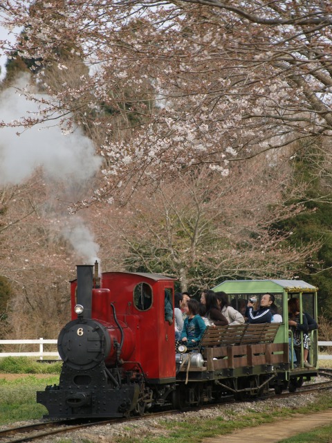 d0016584_019836.jpg