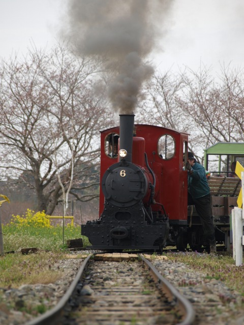 d0016584_0235556.jpg