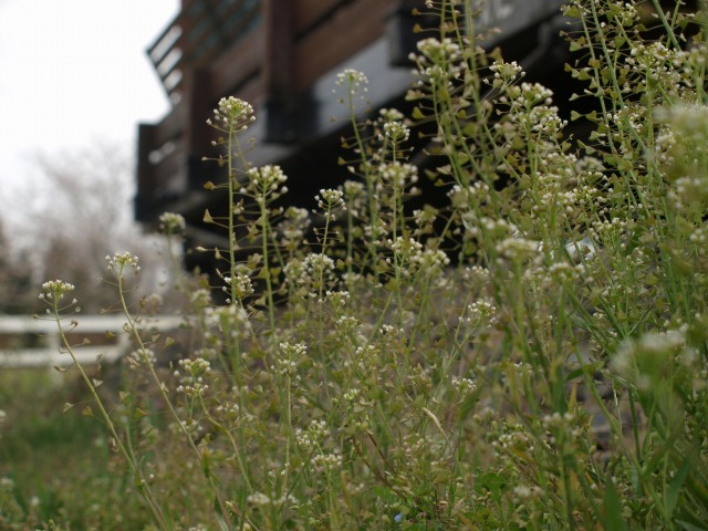 d0016584_0265393.jpg