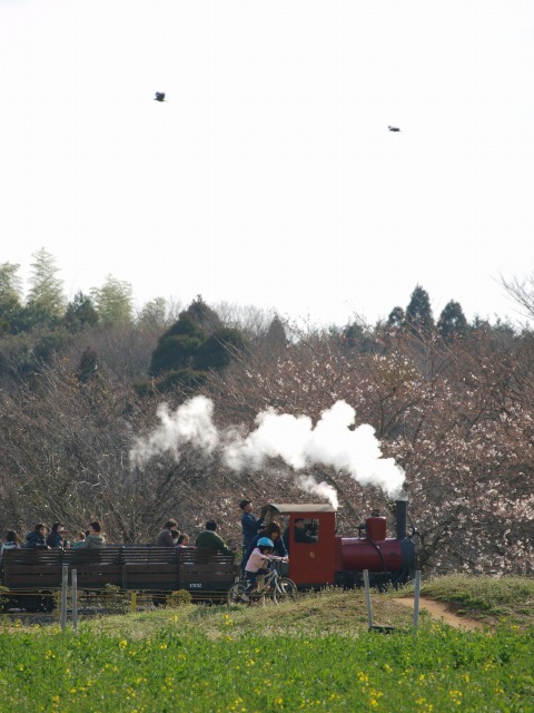 d0016584_0363978.jpg