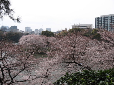 f0091785_20522239.jpg