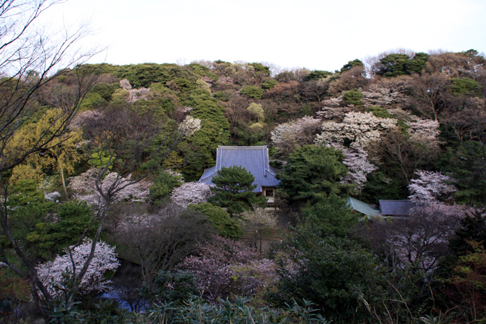 d0151787_20472923.jpg