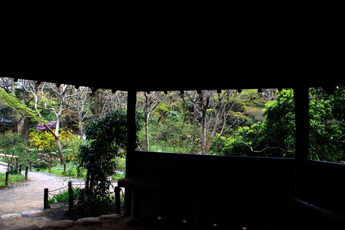 d0151787_2050954.jpg