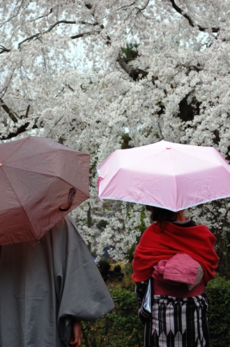 桜撮りオフ会・京都_e0156387_1824013.jpg