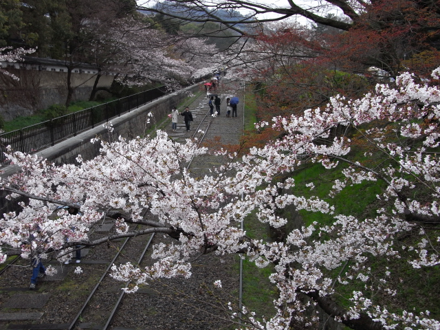 京都オフ会　ｂｙアンダンテ_e0156387_19405379.jpg