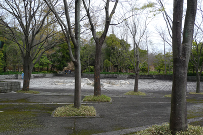 お花見(愛知県緑化センター~豊田市民芸館)_b0142989_20194098.jpg
