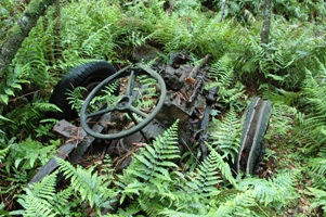 f0086492_1836258.jpg