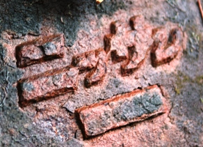 f0086492_185342.jpg