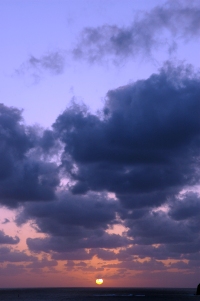 f0086492_203397.jpg