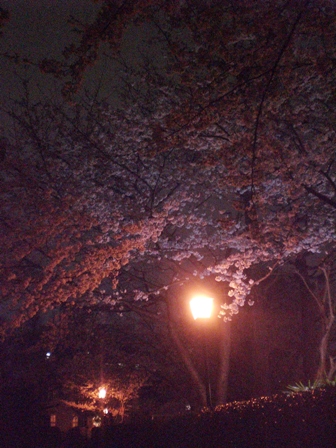 チェリーブラッサムパーティー_f0083294_23121563.jpg