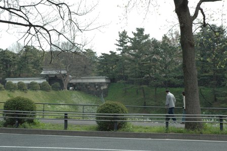 チェリーブラッサムパーティー_f0083294_2314455.jpg