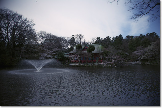 DA15mm Limitedで撮った写真あれこれ_a0049195_1864476.jpg
