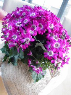 入学準備完了!・・・春菊のレモンマヨネーズ和え。_f0177295_1755530.jpg