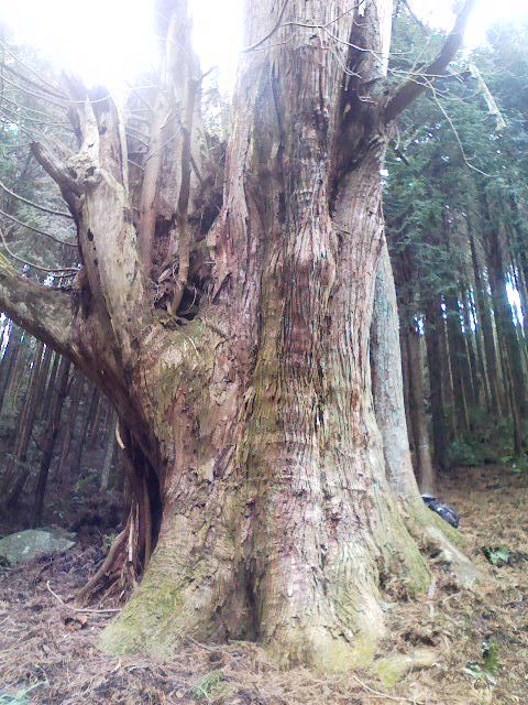 c0133096_16121482.jpg