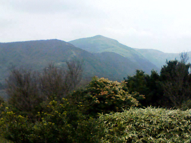 c0133096_1630422.jpg
