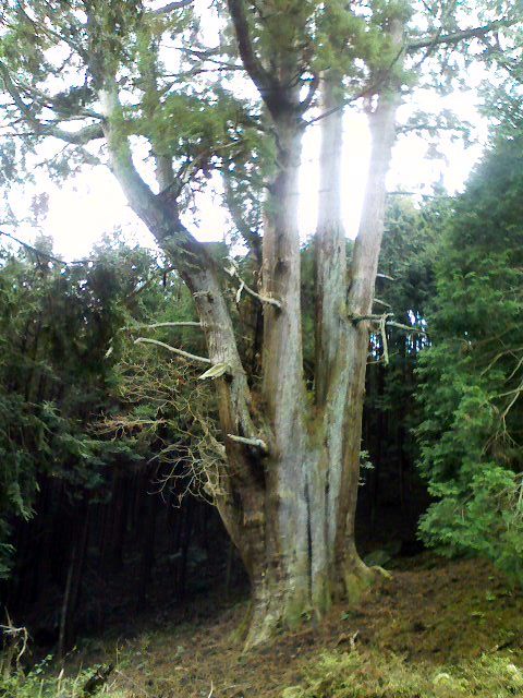 c0133096_1663915.jpg