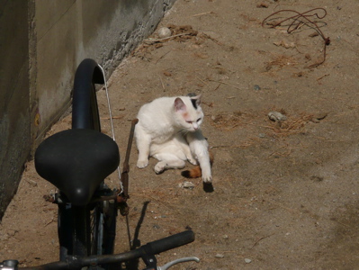 f0146198_116399.jpg